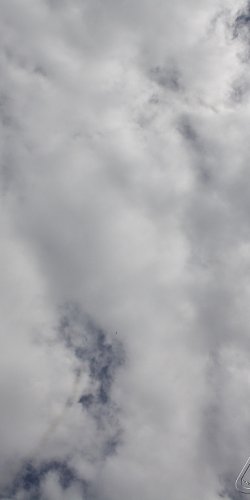 2013 Svojek Mirek Topinka